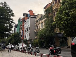 Bán nhà riêng cạnh vườn hoa thái hà, 5m ngang, 7 tầng không gian xanh, ở sướng