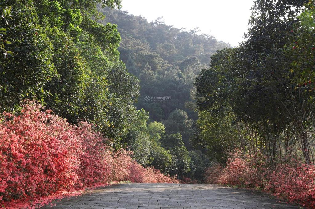 Độc quyền căn đơn lập cuối cùng của phân khu valley park, giá 22 tỷ