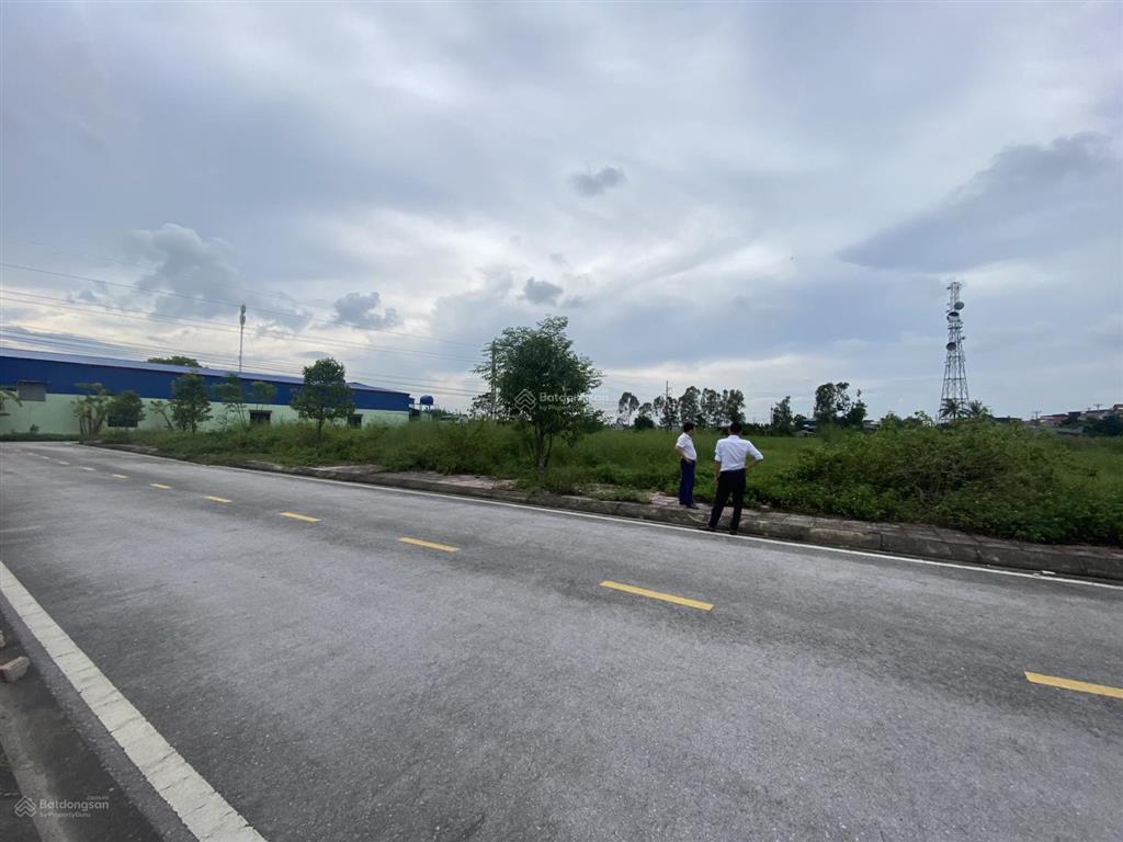 Bán nhanh lô đất tại thị trấn tân phong, nằm sát quốc lộ 1a, thuộc kđt ecopark, xây dựng tự do.