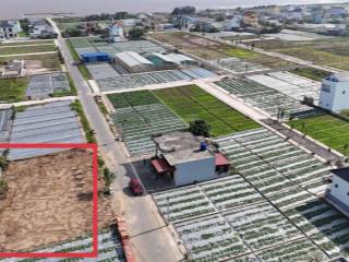 Bán đất chính chủ view biển quất lâm giá chỉ 1ty450, đường trục chính