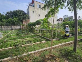 Cho thuê làm sân pickleball,sân bóng đá diện tích rộng 5000m2 lâu dài tại hà nội