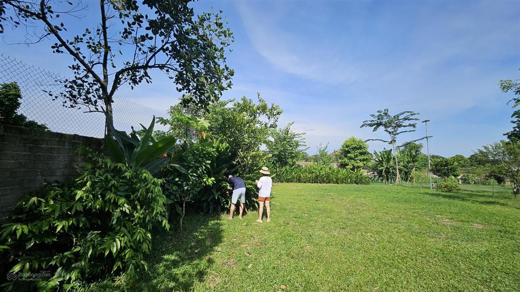 Cho thuê làm sân pickleball,sân bóng đá diện tích rộng 5000m2 lâu dài tại hà nội