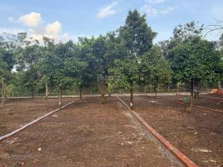 Tặng 250 bao xi măng khi mua 1 nền đất giá rẻ tại trung tâm phường long khánh tỉnh đồng nai !!!