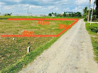 Chính chủ bán nhanh lô đất 800m² tại mỹ hạnh bắc. khu dân cư sầm uất, sổ riêng, công chứng ngay!