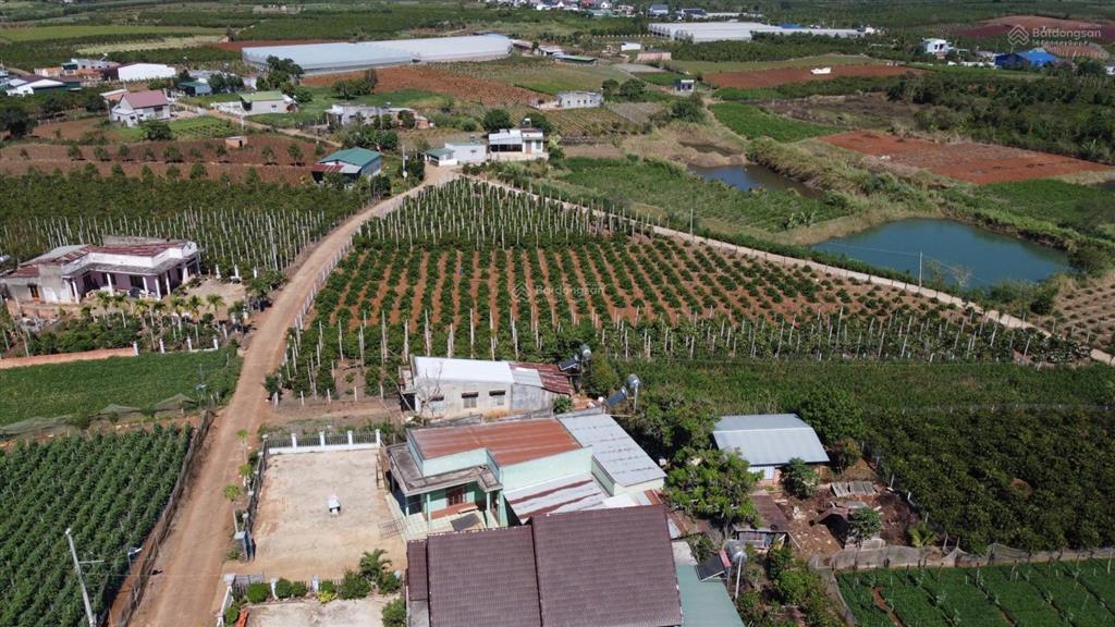 Bán gấp đất full thổ cư ngay chợ tân hội, đức trọng 5x30m sổ hồng riêng giá 650tr