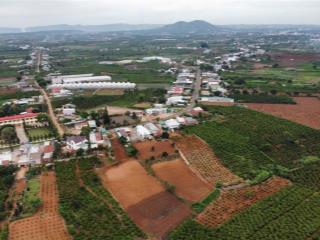 Bán 1 sào đất tại ngã 3 tân hội, đức trọng, 1069m2, sổ riêng, giá 850 tr
