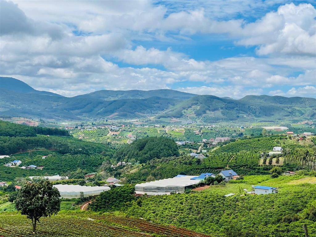 Bán gấp lô đất ngang 15m tại nam hà lâm hà, 528m2, sổ hồng riêng, giá 780tr, view săn mây cực đỉnh