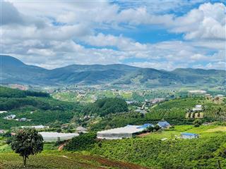 Bán gấp lô đất ngang 15m tại nam hà lâm hà, 528m2, sổ hồng riêng, giá 780tr, view săn mây cực đỉnh