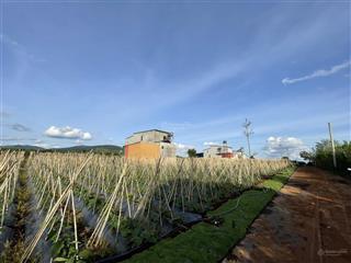 Mở bán 47 lô f0 gần sân bay, ngay liên hiệp, đức trọng  105m2  đường betong 5m  giá 950tr