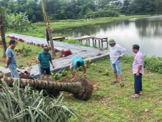 CHÍNH CHỦ CẦN BÁN GẤP LÔ ĐẤT SIÊU ĐẸP TẠI TRUNG TÂM THỊ TRẤN  HUYỆN LẠC THỦY - TỈNH HÒA
