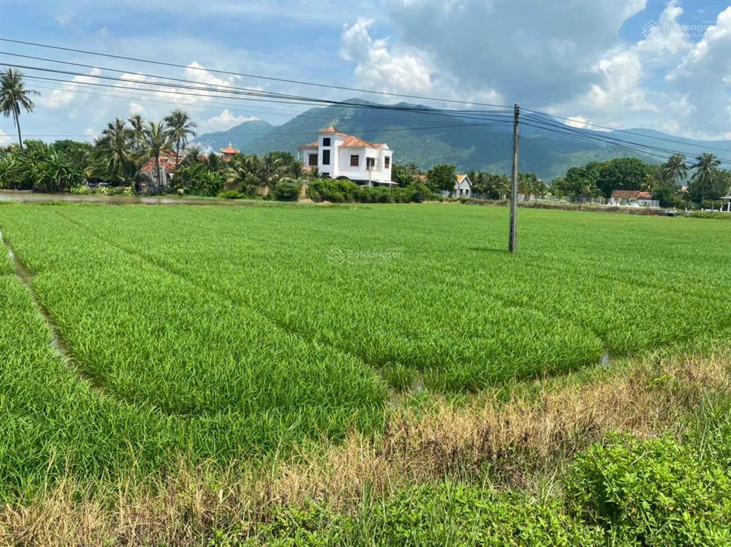 Chủ kẹt tiền cần bán gấp lô đất lúa quy hoạch thổ trung tâm tu bông, vạn ninh