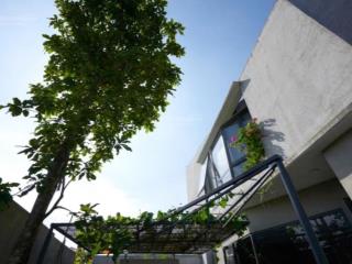 Biệt thự riêng 202m2, sau vincom q9, tăng nhơn phú b, nhỉnh 11 tỷ sổ hồng riêng