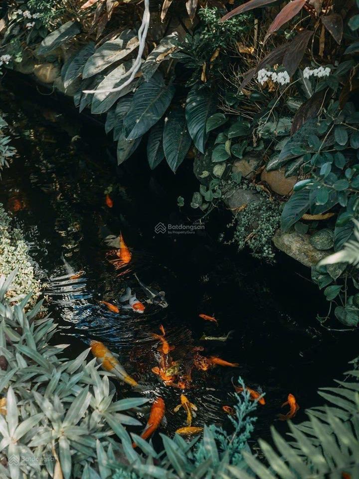 Cần bán villa nghỉ dưỡng đẳng cấp chỉ dành cho người biết hưởng thụ