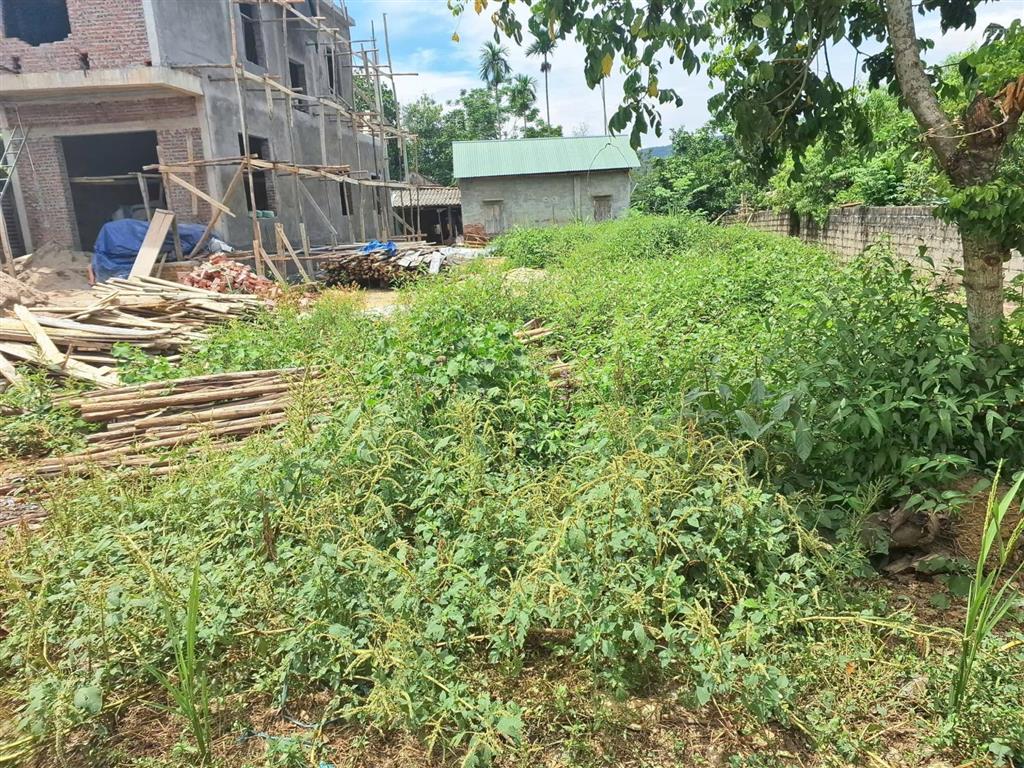 Siêu phẩm 350m (200m đất ở) giá đầu tư thôn đầm bối, yên trung, thạch thất