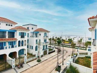 Bán "cắt lỗ" biệt thự giá siêu hời tại sun grand city feria, 42 tỷ, 417m2, hạ long, quảng ninh