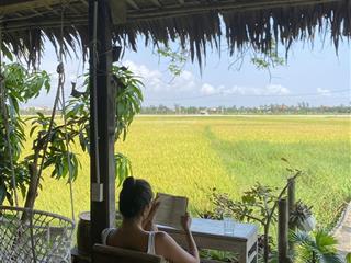 Sở hữu ngay lô đất view cánh đồng lúa giá chỉ từ 250 triệu