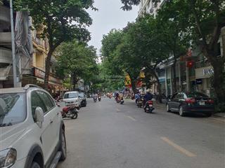 Lô đất vip mặt phố hoàng hoa thám với dt 270m2 mt 7m nở hậu, sổ vuông, quy hoạch ổn định, chỉ 78 tỷ