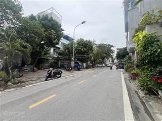 Chính chủ cần bán gấp phố nguyễn văn cừ 110m2, mặt tiền rộng, đường ô tô tránh, kinh doanh