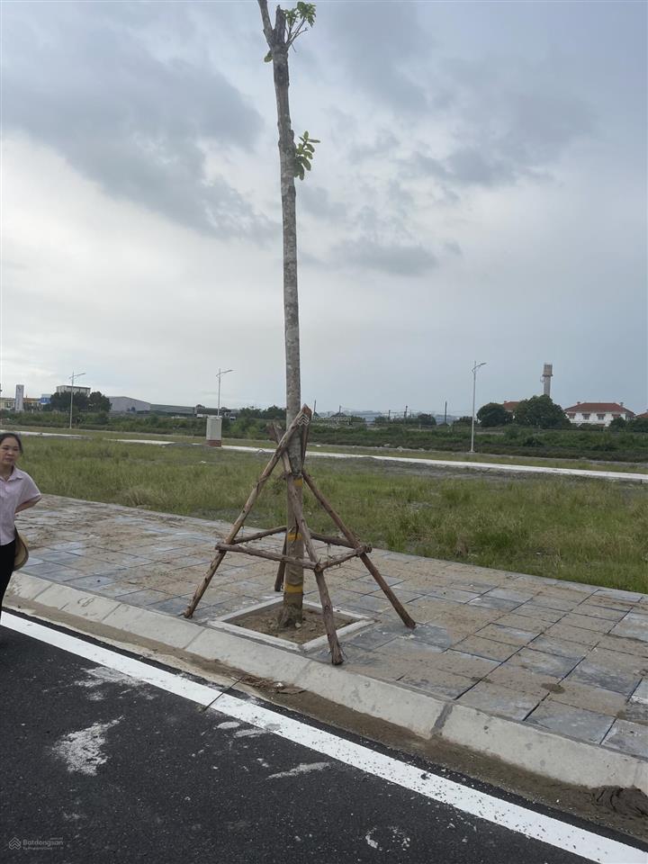 Khu đô thị hoàng lý tâm điểm kết nối giữa công nghiệp & giáo dục tại tỉnh ninh bình mới