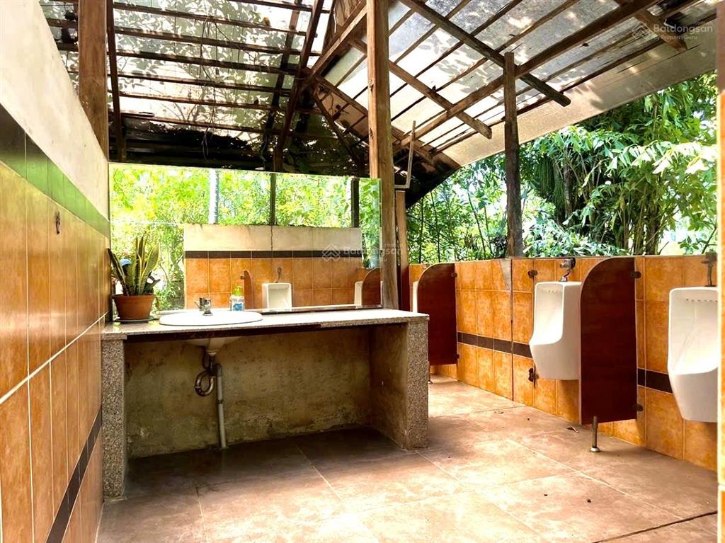 Khu du lịch sinh thái quận 9 2.6ha (155 x 185) 180m giáp sông đồng nai sổ sẵn  chỉ 19.8tr/m2