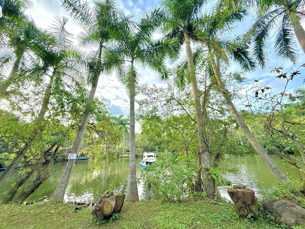 Khu du lịch sinh thái quận 9 2.6ha (155 x 185) 180m giáp sông đồng nai sổ sẵn  chỉ 19.8tr/m2