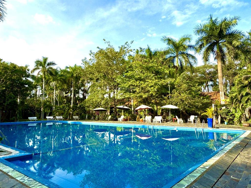 Khu du lịch sinh thái quận 9 2.6ha (155 x 185) 180m giáp sông đồng nai sổ sẵn  chỉ 19.8tr/m2