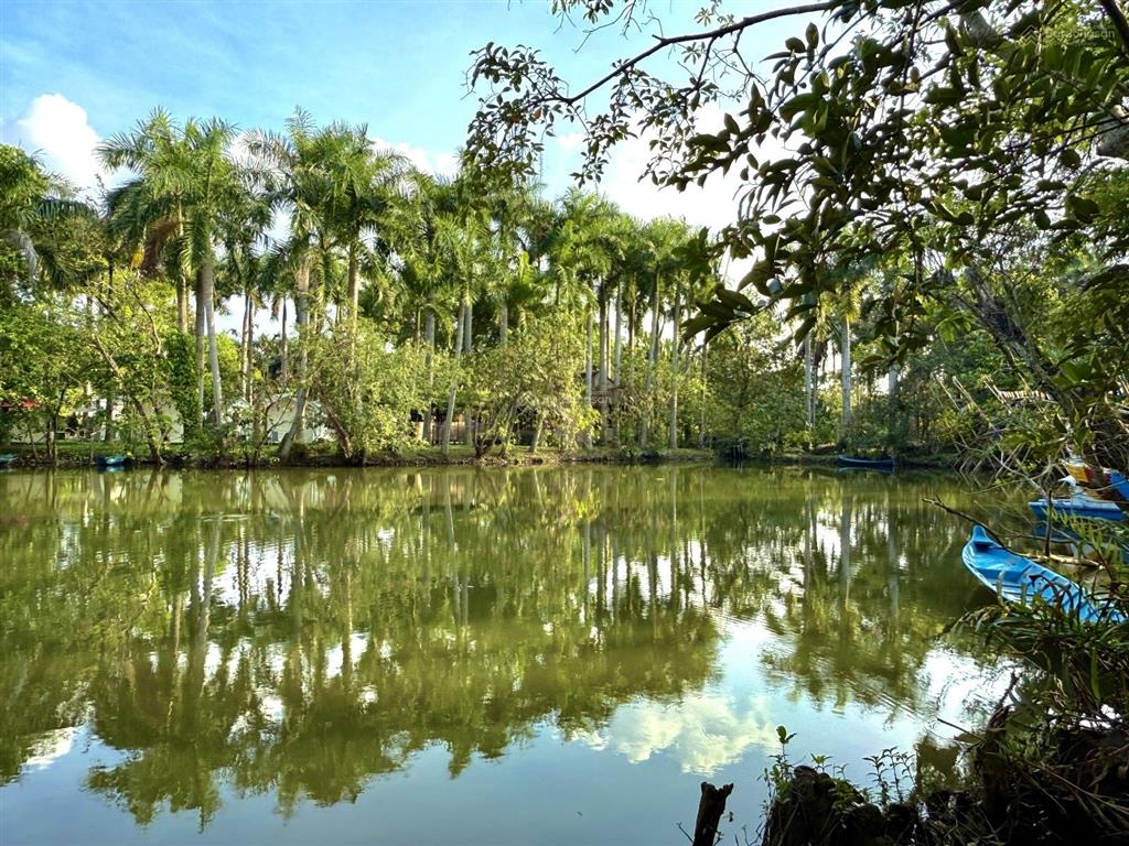 Khu du lịch sinh thái quận 9 2.6ha (155 x 185) 180m giáp sông đồng nai sổ sẵn  chỉ 19.8tr/m2