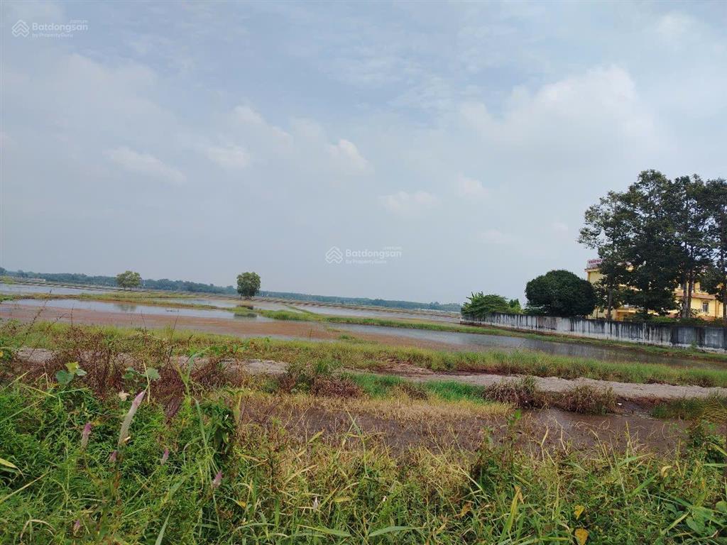 Mặt tiền ql22b, gò dầu, tây ninh, 6050m2, có 1800m2 thổ cư, mt 35 m