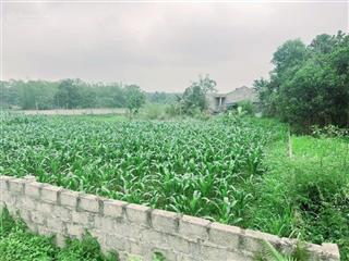 Bán gấp bán gấp chỉ 4,4tỷ sở hữu ngay 1600m2 đất tại xã liên sơn, lương sơn, hòa bình, giá cực chất