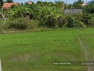 Cần bán gấp đất gần chợ kinh nước mặn, mt đ. đt826b, phước đông, cần đước, long an 100m2/650tr shr