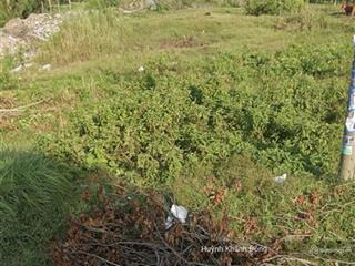 Cần tiền xoay sở bán gấp lô đất đ.nguyễn thị trâm thường thạnh cái răng cần thơ 120m2/550tr shr