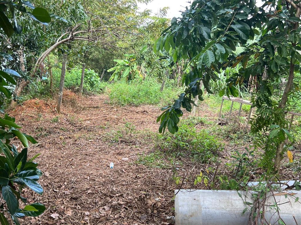 Cơ hội vàng sở hữu lô đất đẹp tại tam anh bắc  núi thành!