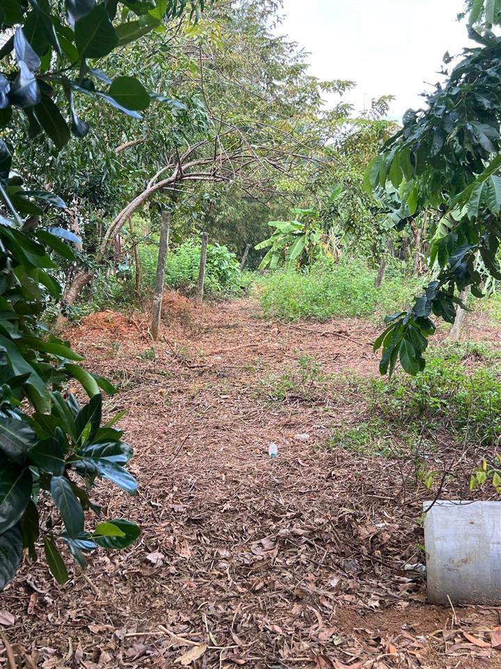 Cơ hội vàng sở hữu lô đất đẹp tại tam anh bắc  núi thành!