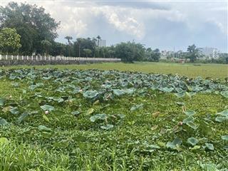 Bán gấp lô đất 109m2  linh sơn lotus, bình yên  thạch thất  giá tốt nhât khu vực