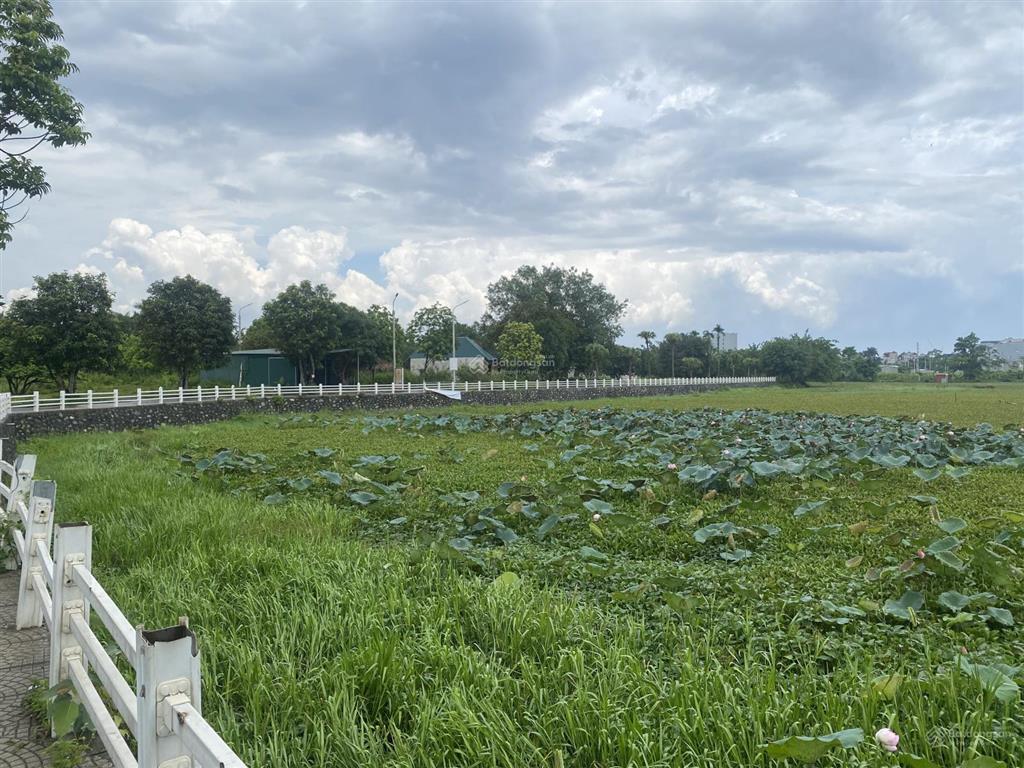Chính chủ tôi bán gấp mảnh đất đẹp lô góc khu hồ sen linh sơn thạch thất