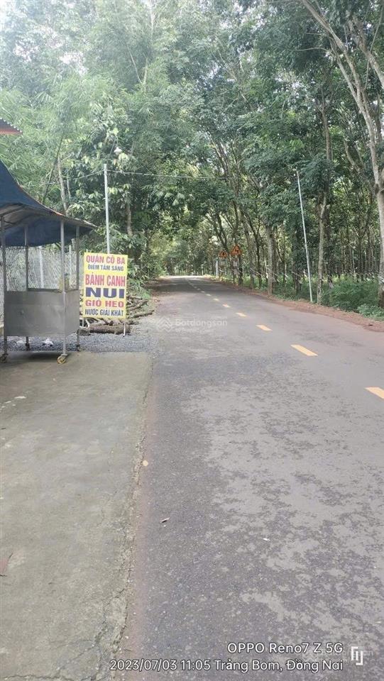 Bán 3 sào mt đường nhựa ấp tân đạt xã đồi 61, giá chỉ 5 tỷ, đường liên xã