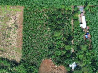 Bán đất sào sông trầu, 4,1 tỷ, 7100m2, mặt tiền sổ riêng, giá cực rẻ