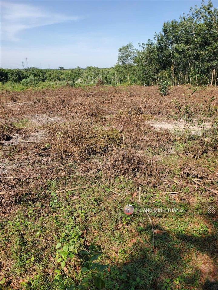 Bán gấp nên rất rẻ cách kcn 2km. chơn thành