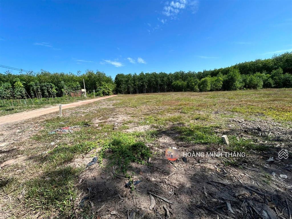 Đất để lâu cần việc bán lỗ 1 cặp 5x30 full thổ cư bến củi tây ninh
