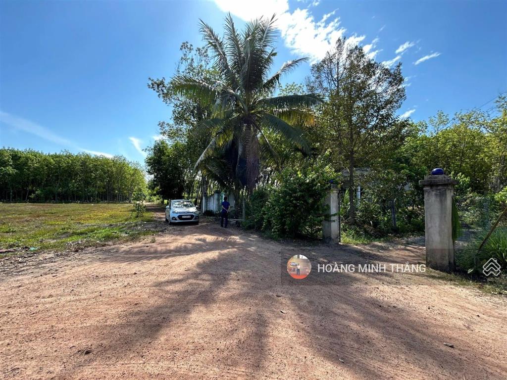 Đất để lâu cần việc bán lỗ 1 cặp 5x30 full thổ cư bến củi tây ninh