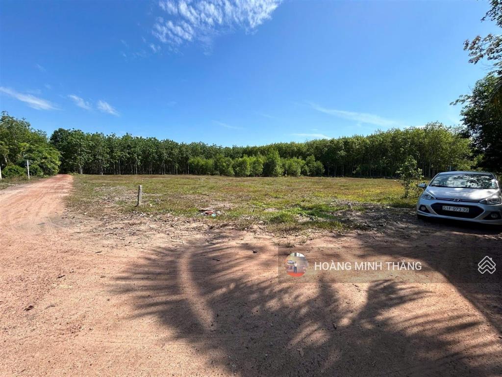 Đất để lâu cần việc bán lỗ 1 cặp 5x30 full thổ cư bến củi tây ninh