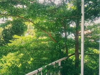 Chính chủ bán nhà vườn, tặng dãy trọ linh đông, thủ đức (giảm 200tr)