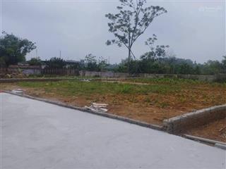 Chính chủ bán đất 371m2 tùng thiện hà nội, quy hoạch chuẩn, chia lô được. mt rộng, ô tô vào tận nơi