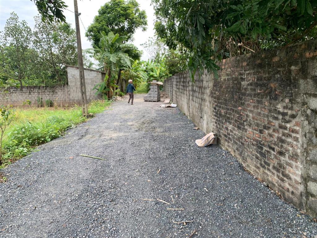 Cần bán đất trồng cây hàng năm. có thể làm xưởng tại sài sơn  quốc oai