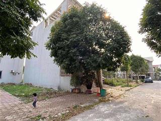 Cần bán lô góc tại dg02 trung tâm thị trấn quốc oai  diện tích 100m. tiền = hậu = 5m