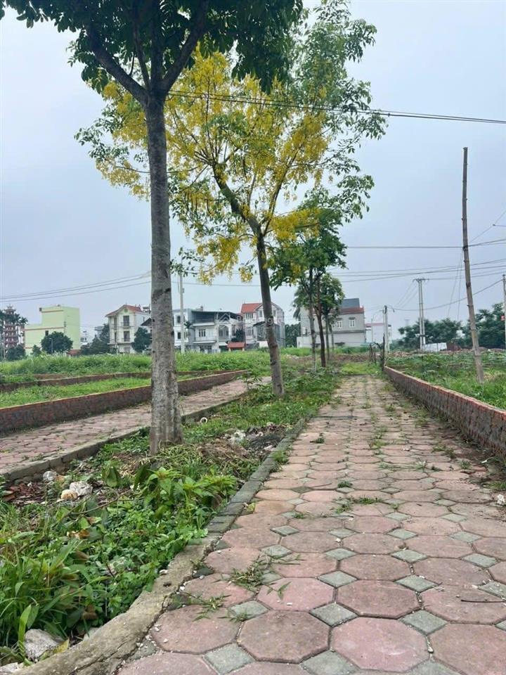 Cần bán gấp 92.5m đất đấu giá yên sơn  quốc oai view vườn hoa. địa chỉ mới xã quốc oai  hà nội