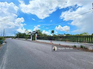 Bán 9000m đất thổ vườn + đất lúa mặt tiền đường bà kiểu  phước lại  cần giuộc  long an