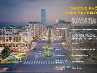 "bùi viện, tạ hiện" của hạ long  thương phố đêm ven biển không ngủ sora bay