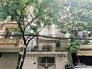 Bán đất tặng nhà đào tấn  ngõ ô tô  kinh doanh vô địch  98m2 chỉ 29.5 tỷ