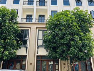 Phân khu đang được quan tâm nhất lúc này thời đại 60m sẵn sổ đỏ giao dịch giá 9tỷ bao phí